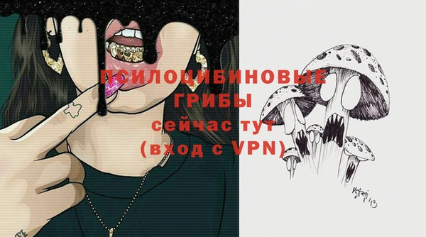 ECSTASY Богородск