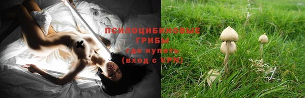 марихуана Богородицк
